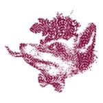 Vinoteca Lama La Uva