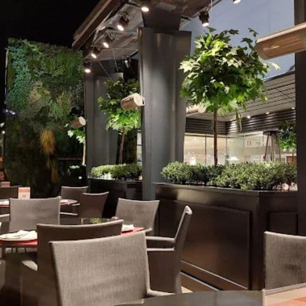 Terraza Manolo León