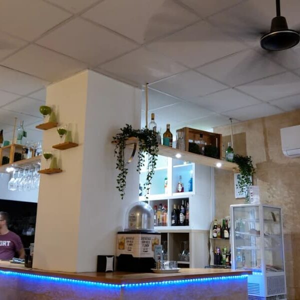 Barra interior del local con decoración de luces azules y plantas